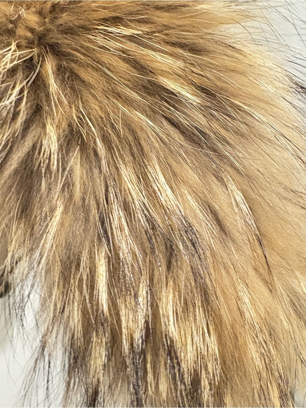 Rudsak Raccoon Fur Collar in Warm Brown Tones with clips